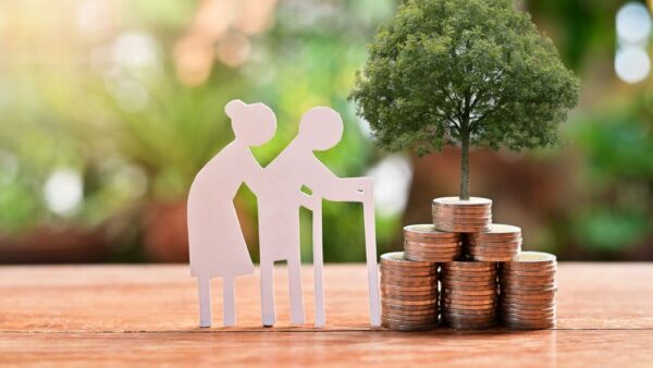 【2025年6月成立】年金制度改正法の概要
